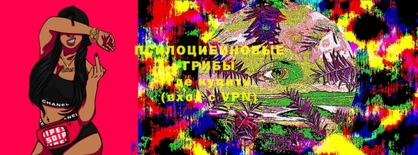 скорость Белокуриха