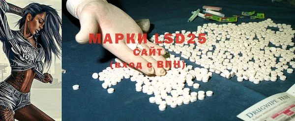 индика Богданович