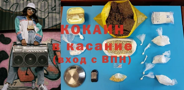 индика Богданович