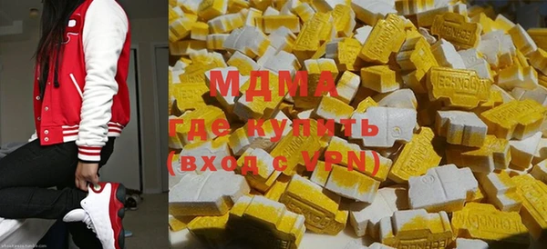 индика Богданович