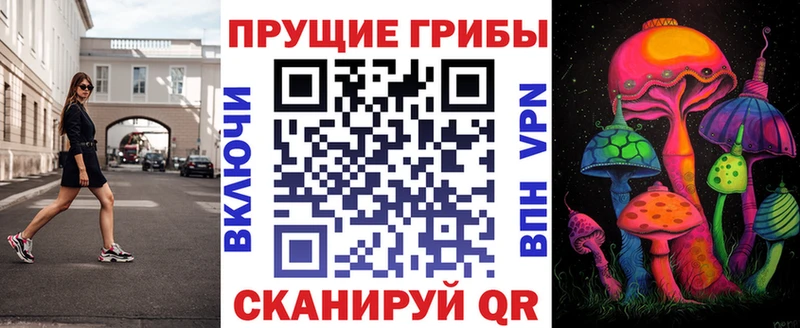 Псилоцибиновые грибы Psilocybine cubensis  Сковородино 